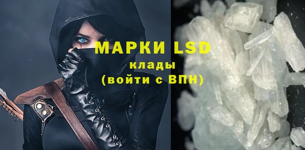 крисы Вязьма