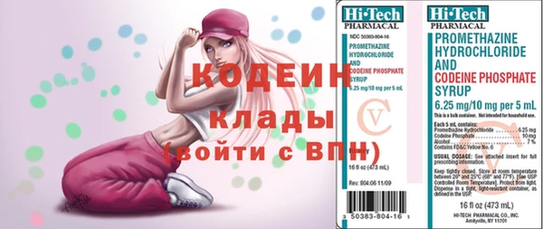 крисы Вязьма