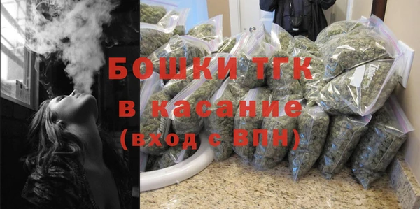 крисы Вязьма