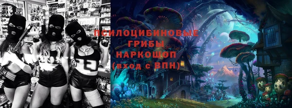 крисы Вязьма