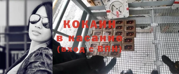 крисы Вязьма