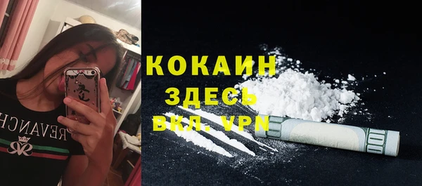 крисы Вязьма